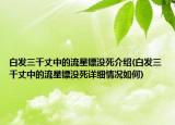白发三千丈中的流星镖没死介绍(白发三千丈中的流星镖没死详细情况如何)