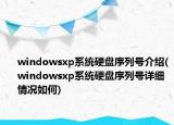 windowsxp系统硬盘序列号介绍(windowsxp系统硬盘序列号详细情况如何)