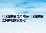 什么是魏晋之风介绍(什么是魏晋之风详细情况如何)