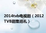 2014tvb电视剧（2012TVB剧集巡礼）