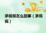 茅侃侃怎么回事（茅侃侃）