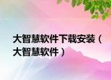 大智慧软件下载安装（大智慧软件）