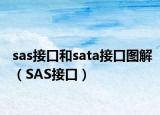 sas接口和sata接口图解（SAS接口）