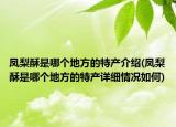凤梨酥是哪个地方的特产介绍(凤梨酥是哪个地方的特产详细情况如何)