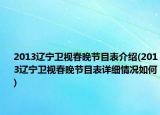 2013辽宁卫视春晚节目表介绍(2013辽宁卫视春晚节目表详细情况如何)