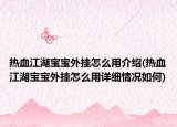 热血江湖宝宝外挂怎么用介绍(热血江湖宝宝外挂怎么用详细情况如何)