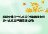 国际专线是什么意思介绍(国际专线是什么意思详细情况如何)