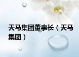 天马集团董事长（天马集团）