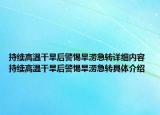 持续高温干旱后警惕旱涝急转详细内容 持续高温干旱后警惕旱涝急转具体介绍