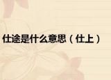 仕途是什么意思（仕上）
