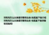 冒险岛怎么从埃德尔斯坦出去(也就是下地介绍 冒险岛怎么从埃德尔斯坦出去 也就是下地详细情况如何)