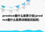 province是什么意思介绍(province是什么意思详细情况如何)