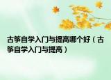 古筝自学入门与提高哪个好（古筝自学入门与提高）