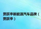 贾跃亭新能源汽车品牌（贾跃亭）