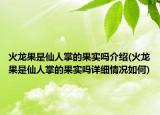 火龙果是仙人掌的果实吗介绍(火龙果是仙人掌的果实吗详细情况如何)