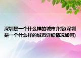 深圳是一个什么样的城市介绍(深圳是一个什么样的城市详细情况如何)