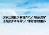 汉家江湖张少爷培养\