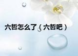 六哲怎么了（六哲吧）