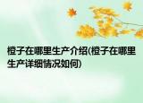 橙子在哪里生产介绍(橙子在哪里生产详细情况如何)
