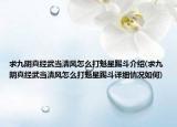 求九阴真经武当清风怎么打魁星踢斗介绍(求九阴真经武当清风怎么打魁星踢斗详细情况如何)