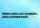 阴阳师九命猫怎么样介绍(阴阳师九命猫怎么样详细情况如何)