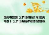 国美电器(什么节日促销介绍 国美电器 什么节日促销详细情况如何)
