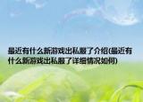 最近有什么新游戏出私服了介绍(最近有什么新游戏出私服了详细情况如何)