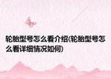 轮胎型号怎么看介绍(轮胎型号怎么看详细情况如何)