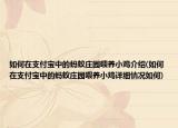 如何在支付宝中的蚂蚁庄园喂养小鸡介绍(如何在支付宝中的蚂蚁庄园喂养小鸡详细情况如何)