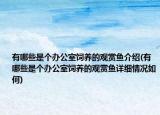 有哪些是个办公室饲养的观赏鱼介绍(有哪些是个办公室饲养的观赏鱼详细情况如何)