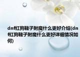 dnf红狗鞋子附魔什么更好介绍(dnf红狗鞋子附魔什么更好详细情况如何)