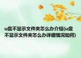 u盘不显示文件夹怎么办介绍(u盘不显示文件夹怎么办详细情况如何)