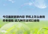 今日最新更新内容 手机上怎么查询养老保险 这几种方法可以查询