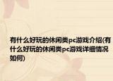 有什么好玩的休闲类pc游戏介绍(有什么好玩的休闲类pc游戏详细情况如何)
