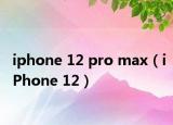 iphone 12 pro max（iPhone 12）