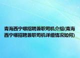 青海西宁哪招聘兼职司机介绍(青海西宁哪招聘兼职司机详细情况如何)