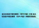 龙头社区的卡密在哪买(《非凡卡盟》介绍 龙头社区的卡密在哪买 《非凡卡盟》详细情况如何)
