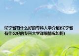 辽宁省有什么好的专科大学介绍(辽宁省有什么好的专科大学详细情况如何)