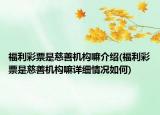 福利彩票是慈善机构嘛介绍(福利彩票是慈善机构嘛详细情况如何)