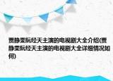 贾静雯阮经天主演的电视剧大全介绍(贾静雯阮经天主演的电视剧大全详细情况如何)