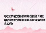 QQ炫舞的宠物都有哪些技能介绍(QQ炫舞的宠物都有哪些技能详细情况如何)