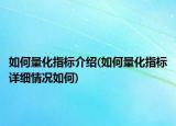 如何量化指标介绍(如何量化指标详细情况如何)