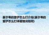 赛尔号的雷伊怎么打介绍(赛尔号的雷伊怎么打详细情况如何)