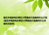 施瓦辛格的电影疯狂大镖客的片尾曲叫什么介绍(施瓦辛格的电影疯狂大镖客的片尾曲叫什么详细情况如何)