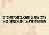 志鸟和誓鸟的含义是什么介绍(志鸟和誓鸟的含义是什么详细情况如何)