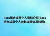 kara组合成员个人资料介绍(kara组合成员个人资料详细情况如何)