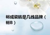 裕成瓷砖是几线品牌（裕B）