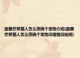 魔兽世界猎人怎么带两个宠物介绍(魔兽世界猎人怎么带两个宠物详细情况如何)
