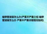 输卵管堵塞怎么办(严重不严重介绍 输卵管堵塞怎么办 严重不严重详细情况如何)