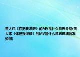 黄大炜《你把我灌醉》的MV是什么意思介绍(黄大炜《你把我灌醉》的MV是什么意思详细情况如何)